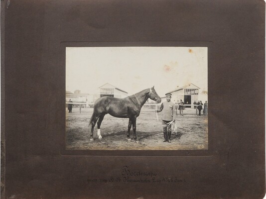 Лот из четырех фотографий: